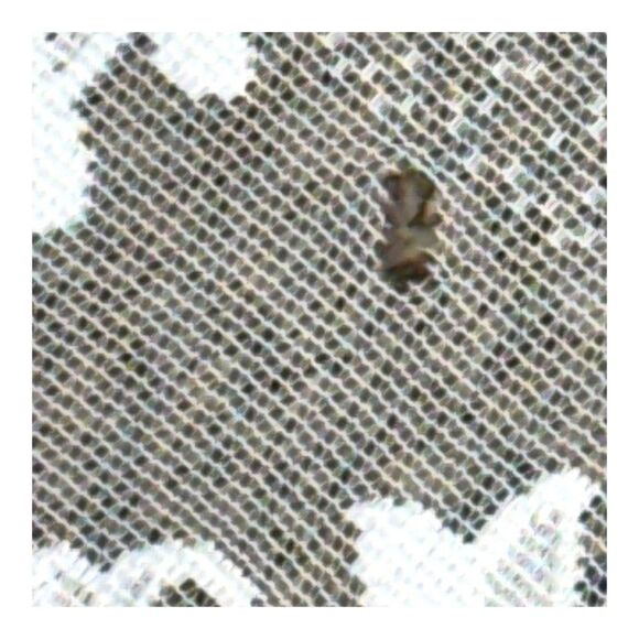 Vintage White Lace Heavenly Angels Holiday Tablecloth 54" X 80.5" Rectangle READ - Picture 5 of 6